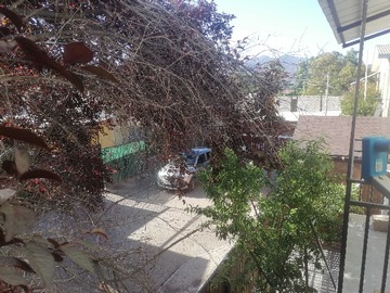 Imagen 16