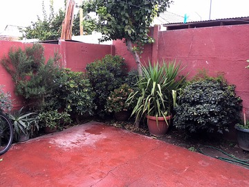 Imagen 8
