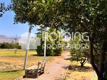 Imagen 21