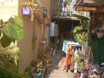 Imagen 21