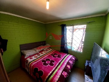 Imagen 11