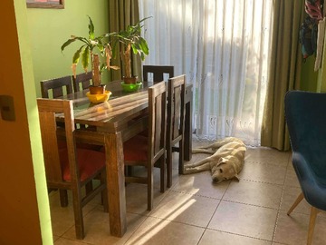 Imagen 21