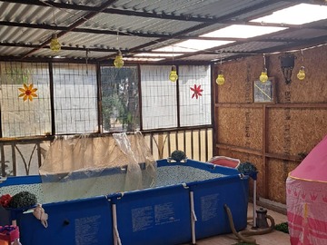 Imagen 4