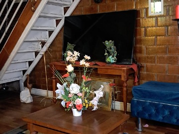 Imagen 16