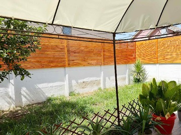 Imagen 20