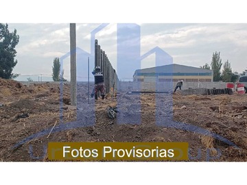 Imagen 11
