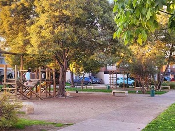 Imagen 20