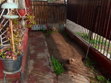 Imagen 14