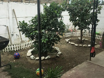 Imagen 10