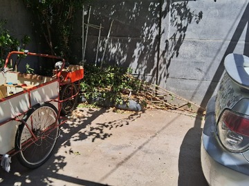 Imagen 8