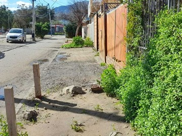 Imagen 12