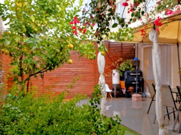 Imagen 20