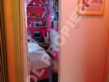 Imagen 7
