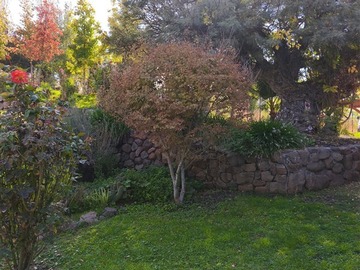 Imagen 31