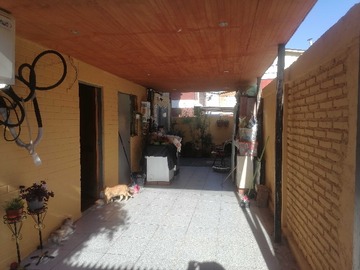 Imagen 19