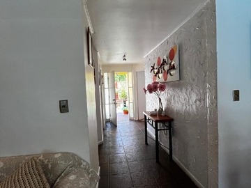 Imagen 11