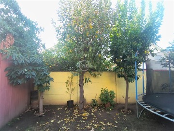 Imagen 10