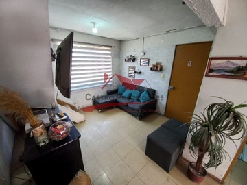 Imagen 7