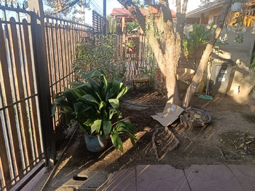 Imagen 27