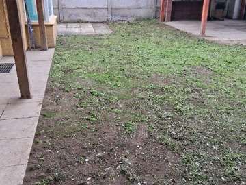 Imagen 10