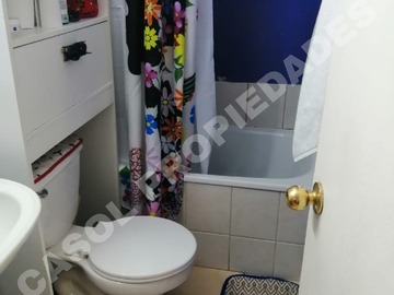 Imagen 12