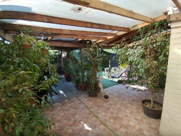 Imagen 13