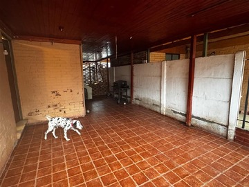 Imagen 19