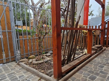 Imagen 6
