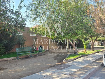 Imagen 22