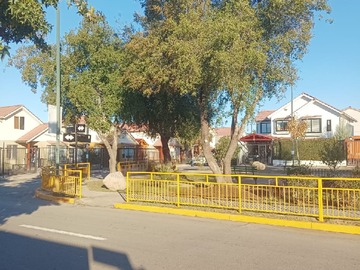 Imagen 6