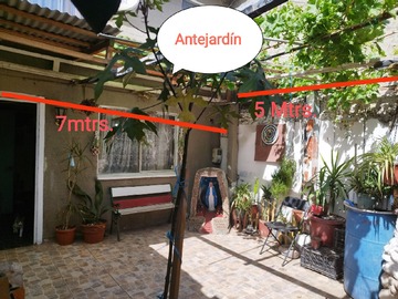 Imagen 11