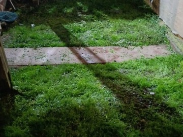 Imagen 6