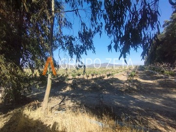 Imagen 20