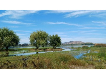 Venta / Casa / Las Cabras