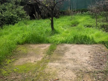 Imagen 21