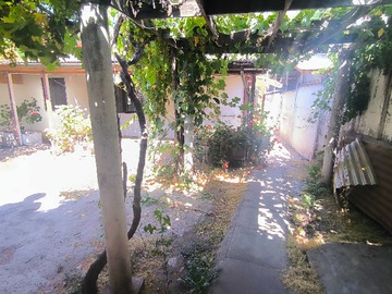 Imagen 11