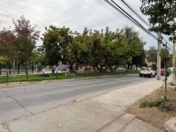 Imagen 11