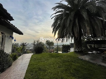 Imagen 21