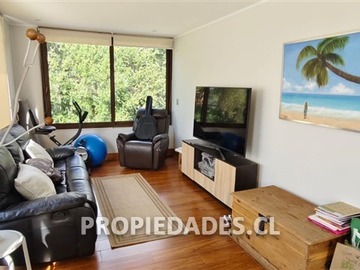 Imagen 23
