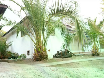 Imagen 15