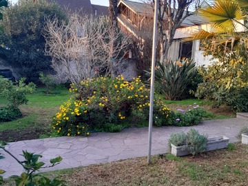 Imagen 6