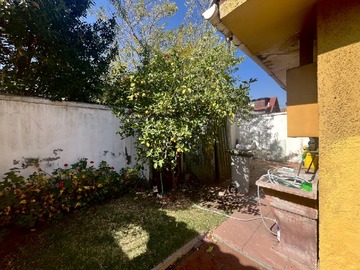 Imagen 5