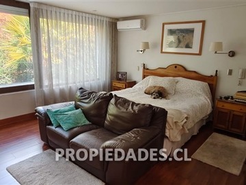 Imagen 17