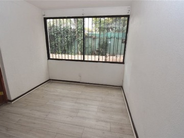 Imagen 11