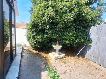 Imagen 5