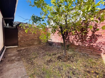 Imagen 6