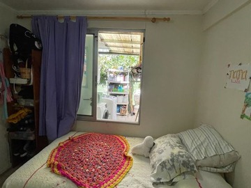 Imagen 14
