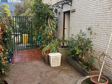 Imagen 25