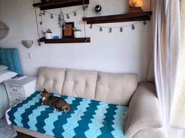 Imagen 8