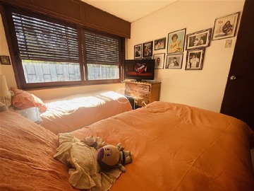Imagen 10